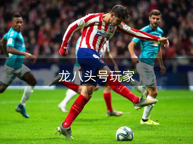龙八头号玩家简介